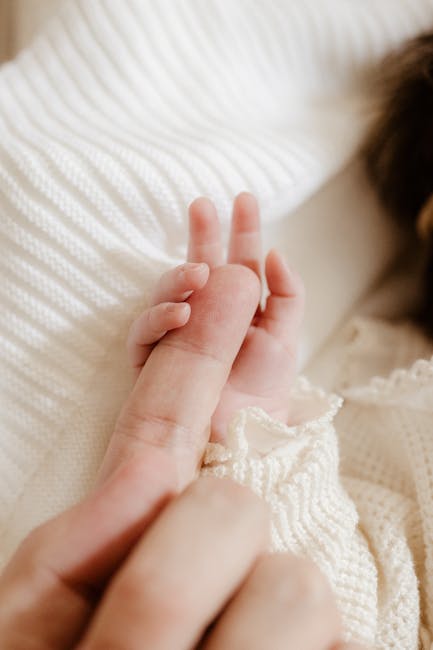 Hosting & Domain Support